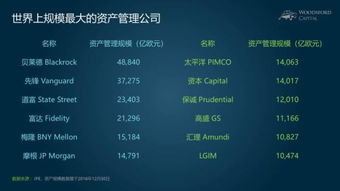 小乌龟学投资系列七 拨开迷雾，慧眼识珠——如何比较与区分海外股权投资机构